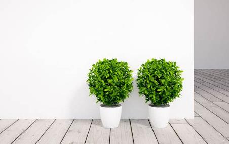 �Gɫ�h�����o���oζ