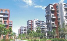 ���ݺ��־�