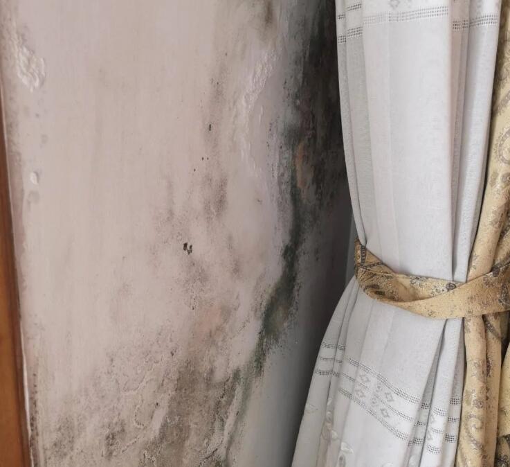 ����Ǽ��b�≦���أ���������Љ��ڰlù����ô���£�